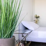 Maria - מנאג'יו